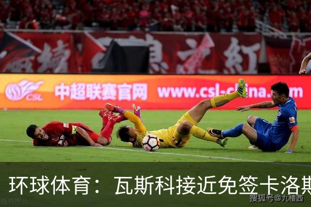 环球体育：瓦斯科接近免签卡洛斯-维尼修斯