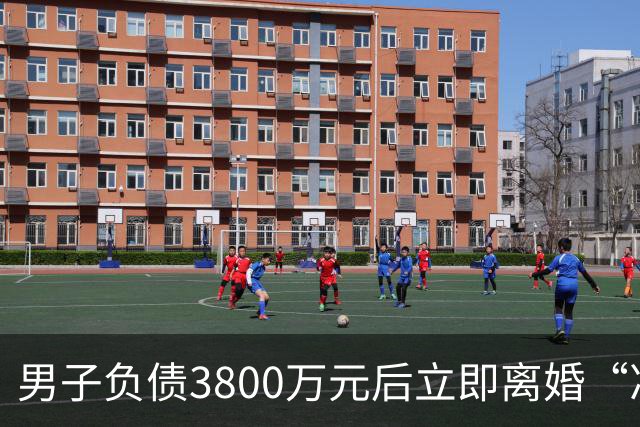 男子负债3800万元后立即离婚“净身出户”，两处房产、一辆汽车全归妻子，强制执行时其名下已无可执行财产，法院：撤销离婚财产分割约定